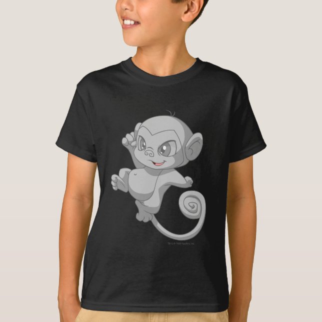 Camiseta Plata de Mynci (Anverso)
