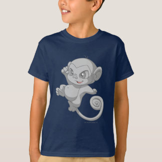 Camiseta Plata de Mynci