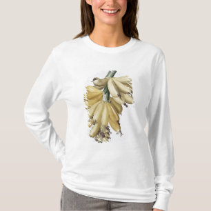 Camiseta Plátano, 1816
