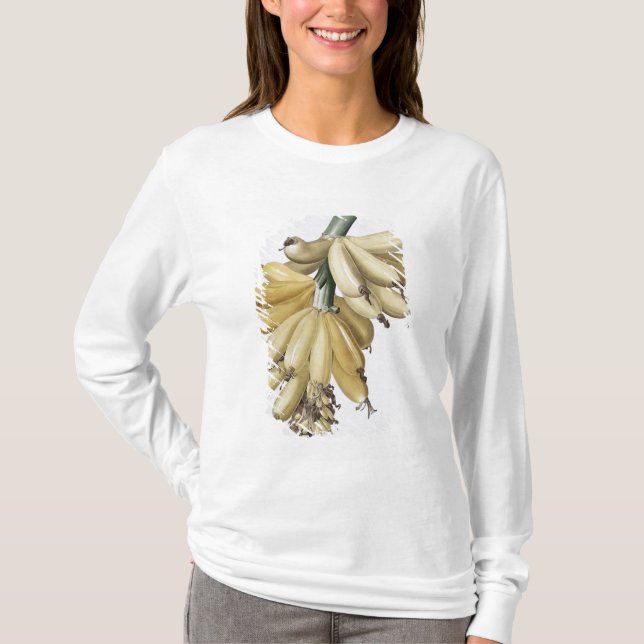 Camiseta Plátano, 1816 (Anverso)