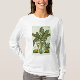 Camiseta Plátano, de Phytanthoza Iconographi de J. Weinman
