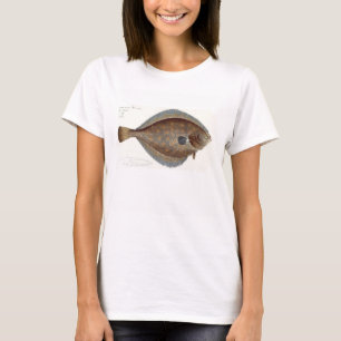 Camiseta Plato XLII de Plaça (Pleuronectes Platessa) proce
