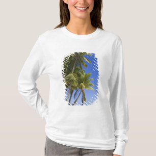 Camiseta Playa bordeada de palmeras Islas Cook 3