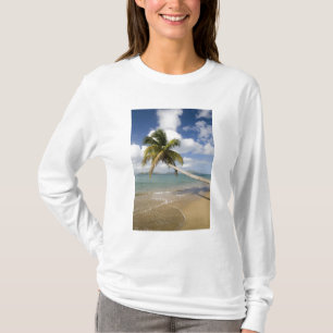 Camiseta Playa Coconut Grove en Cades Bay, con St.
