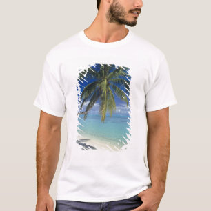 Camiseta Playa de Matira en la isla de Bora Bora, Sociedad