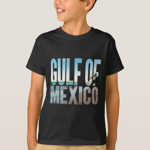Camiseta Playa del Golfo de México Palma Americana Retro Vi
