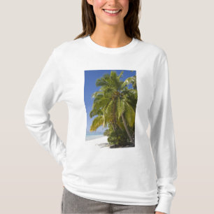 Camiseta Playa en la isla de One Foot, Aitutaki, Islas Cook