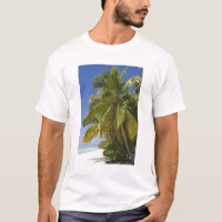 Playa en la isla de un pie, Aitutaki, Islas Cook