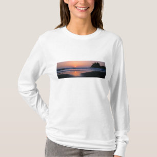 Camiseta Playa Estatal Trinidad, California. EE. UU. Mar 2