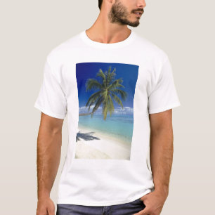 Camiseta Playa Matira en la isla de Bora Bora, Sociedad