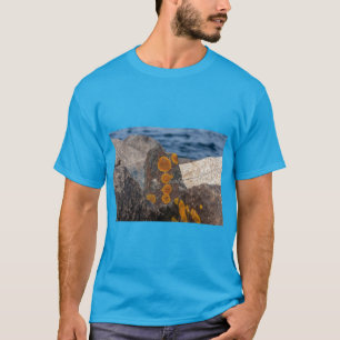 Camiseta Playa Piedras Marinas Musgosas