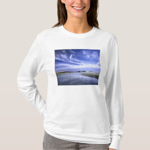 Camiseta PLAYA POPHAM BEACH STATE PARK, MAINE. EE. UU. Cirr
