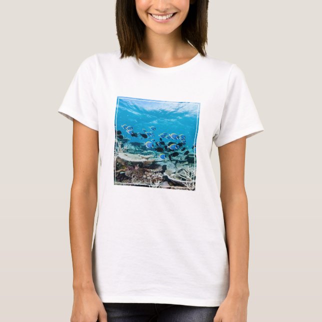 Camiseta Playas tropicales | Sturgeon Entre Coral (Anverso)