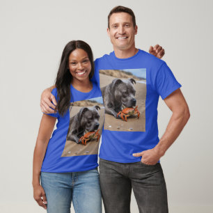 Camiseta "Playside Pals: un Staffy y su compañero de cangre