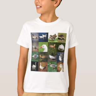 Camiseta Plaza de la fotografía - Aves