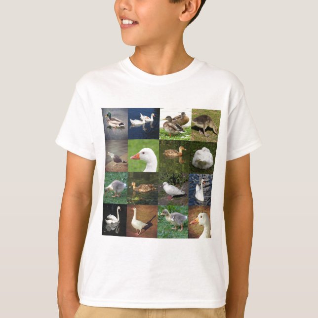 Camiseta Plaza de la fotografía - Aves (Anverso)