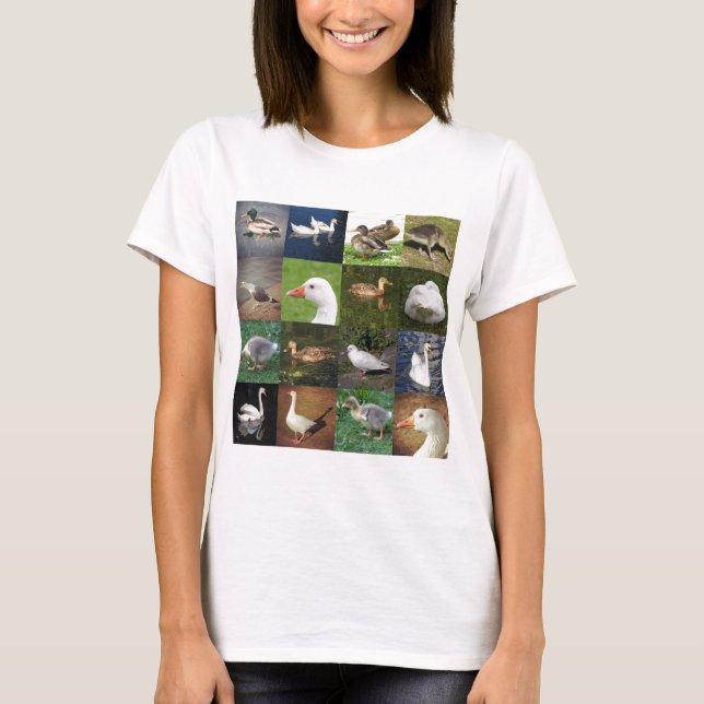 Camiseta Plaza de la fotografía - Aves (Anverso)