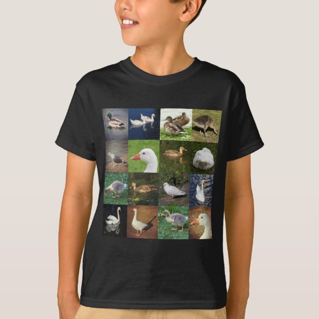 Camiseta Plaza de la fotografía - Aves (Anverso)