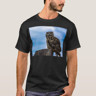 Camiseta Plumas de ave de búho Animal Naturaleza Destino Pa