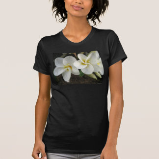 Camiseta Plumeria5