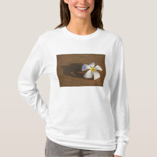 Camiseta Plumeria en playa de arena, Maui, Hawái, EE. UU.