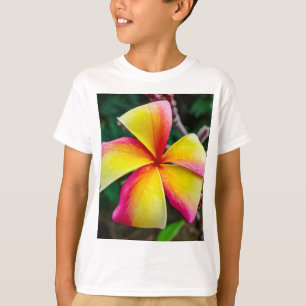 Camiseta Plumeria rubra