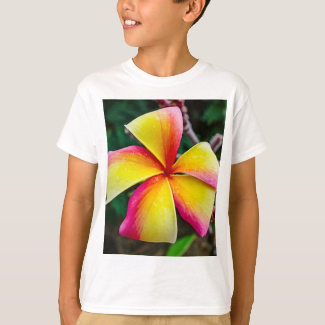 Camiseta Plumeria rubra (Anverso)