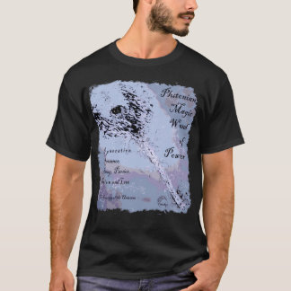 Camiseta Plutonia Wand Mixsk