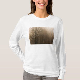 Camiseta PN Gran Smoky Mountain Tennessee árboles en