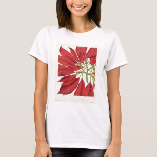 Camiseta Poinsettia Pulcherrima (litho del color)