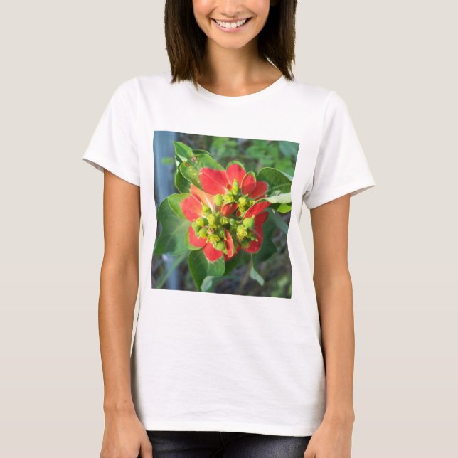 Camiseta Poinsettia silvestre (Anverso)