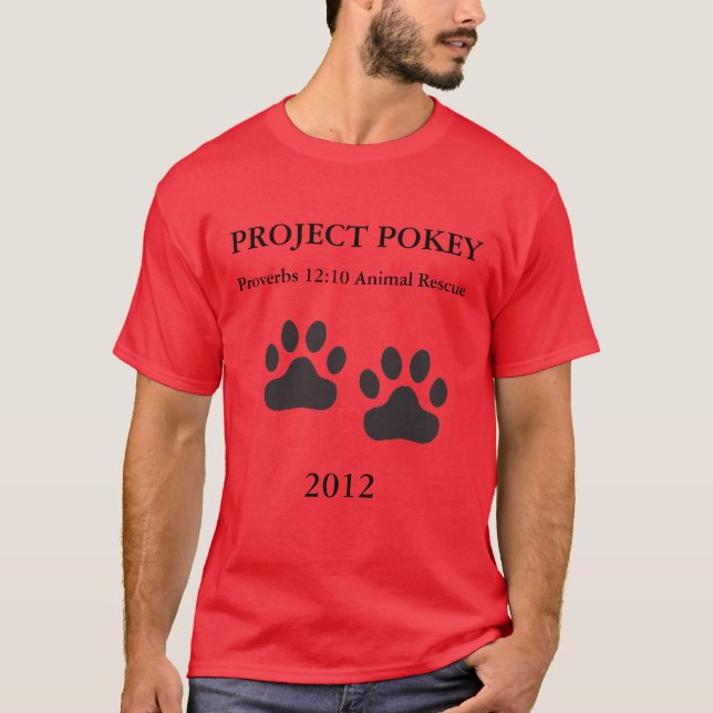 Camiseta Pokey 2012-Red del proyecto (Anverso)