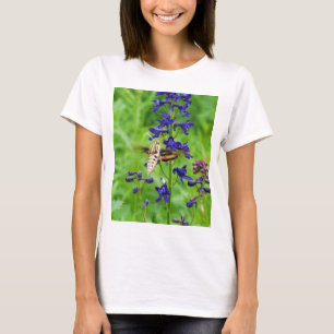 Camiseta Polilla de colibrí