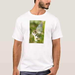 Camiseta Polilla Verde en Ropa y Regalos de Ajo Falso