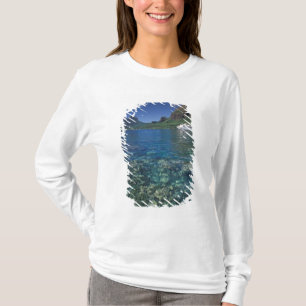 Camiseta Polinesia Francesa, Moorea. Bahía de Cooks. Crucer