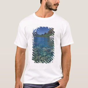 Camiseta Polinesia Francesa, Moorea. Bahía de Cooks. Crucer