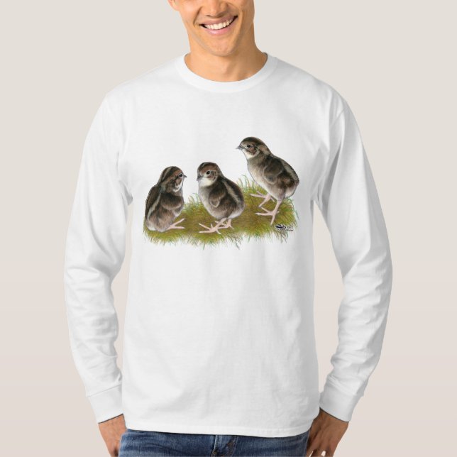 Camiseta Pollitos de codorniz Coturnix (Anverso)