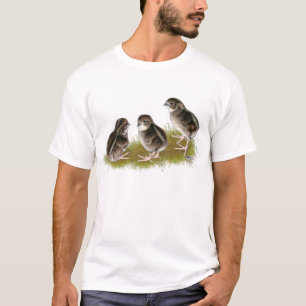 Camiseta Pollitos de codorniz Coturnix
