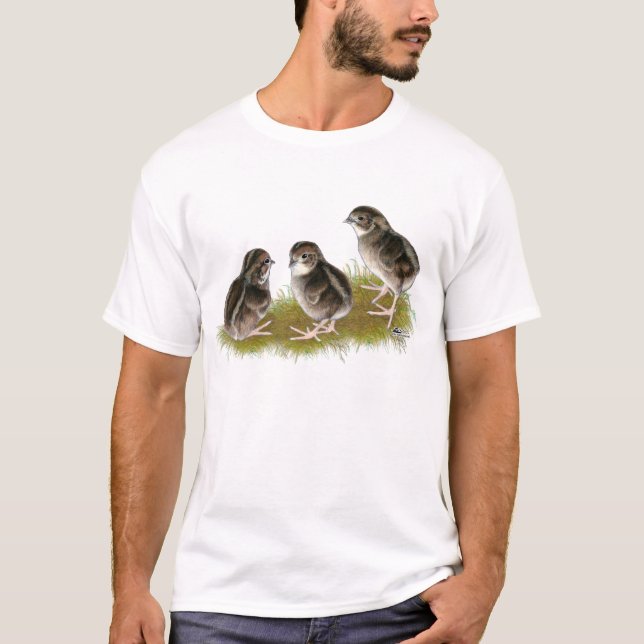 Camiseta Pollitos de codorniz Coturnix (Anverso)