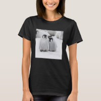 Pollitos de pingüino del emperador sobre hielo en