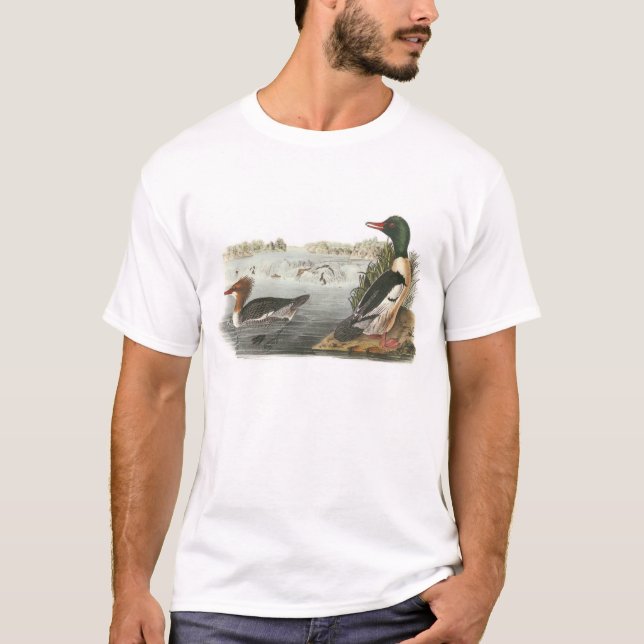 Camiseta Pollo de agua común por Audubon (Anverso)