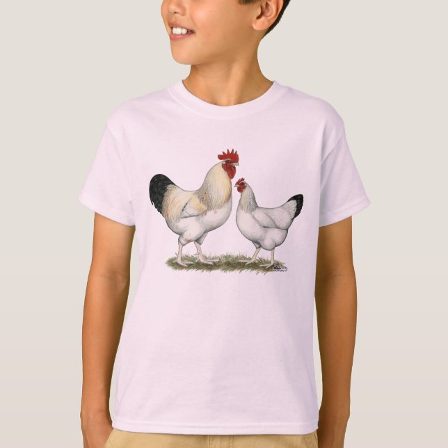 Camiseta Pollos del río Indio (Anverso)