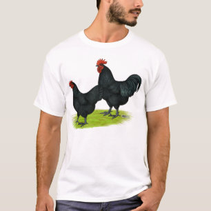 Camiseta Pollos negros de Australorp