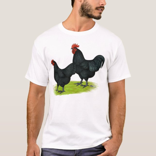 Camiseta Pollos negros de Australorp (Anverso)
