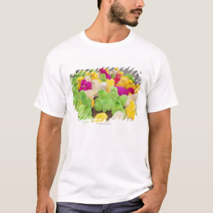 Camiseta Polluelos del bebé en una pluma en un mercado