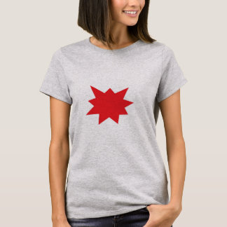 Camiseta Polvo