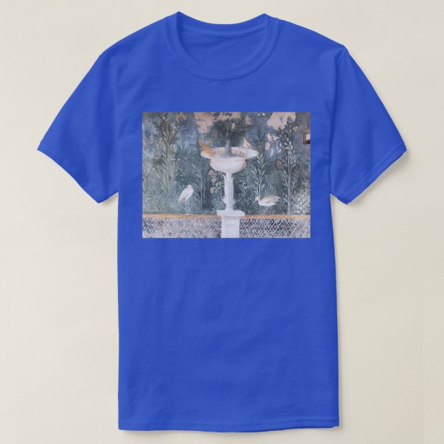 Camiseta Pompeya Fresco (Diseño del anverso)