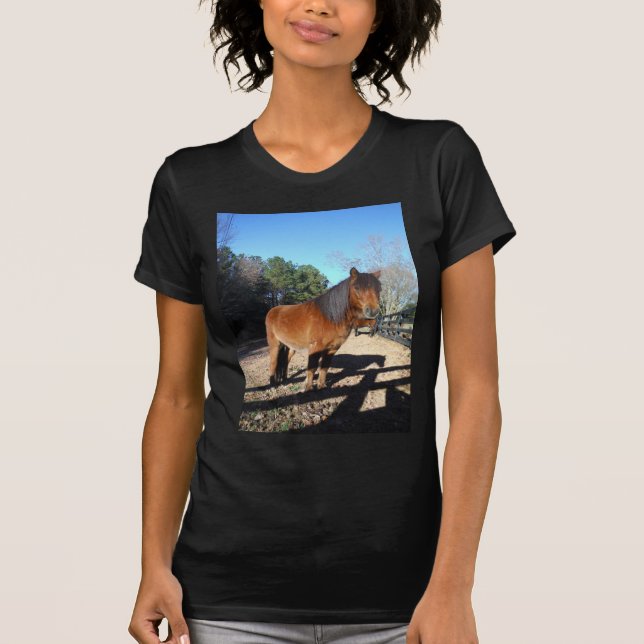 Camiseta Poni marrón cielo turquesa (Anverso)