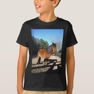 Camiseta Poni marrón cielo turquesa