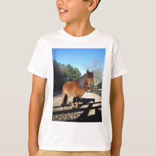 Camiseta Poni marrón cielo turquesa